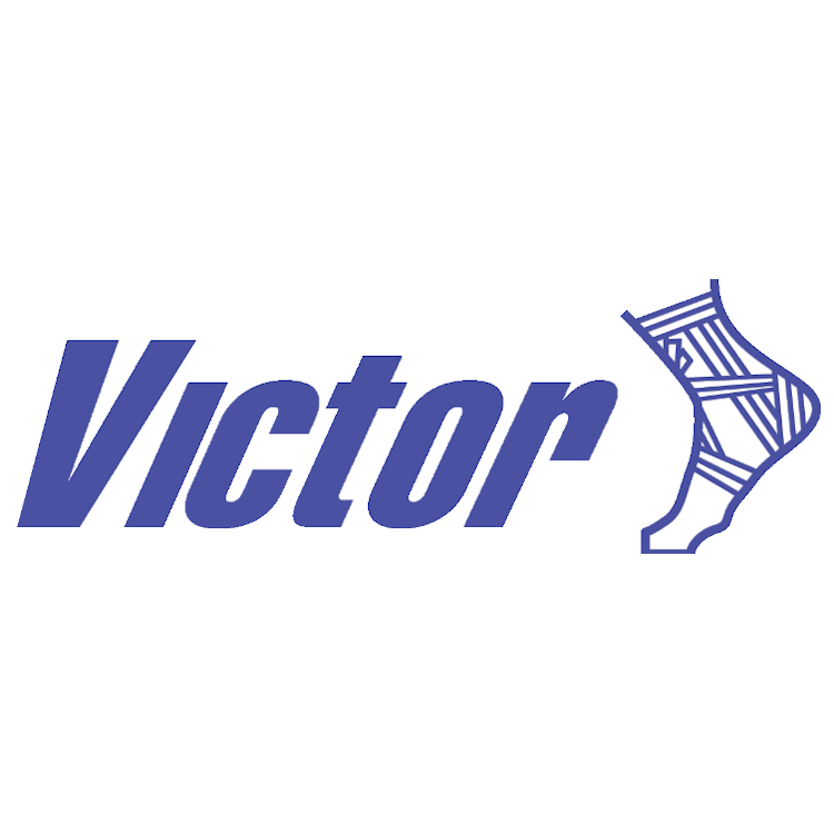 Victor Sports Logo 08/22